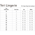 thumbnail image 4 of Kathryn Light Tummy Control Microfiber Brief 2-Pack (Style 751) by Teri Lingerie, 4 of 4