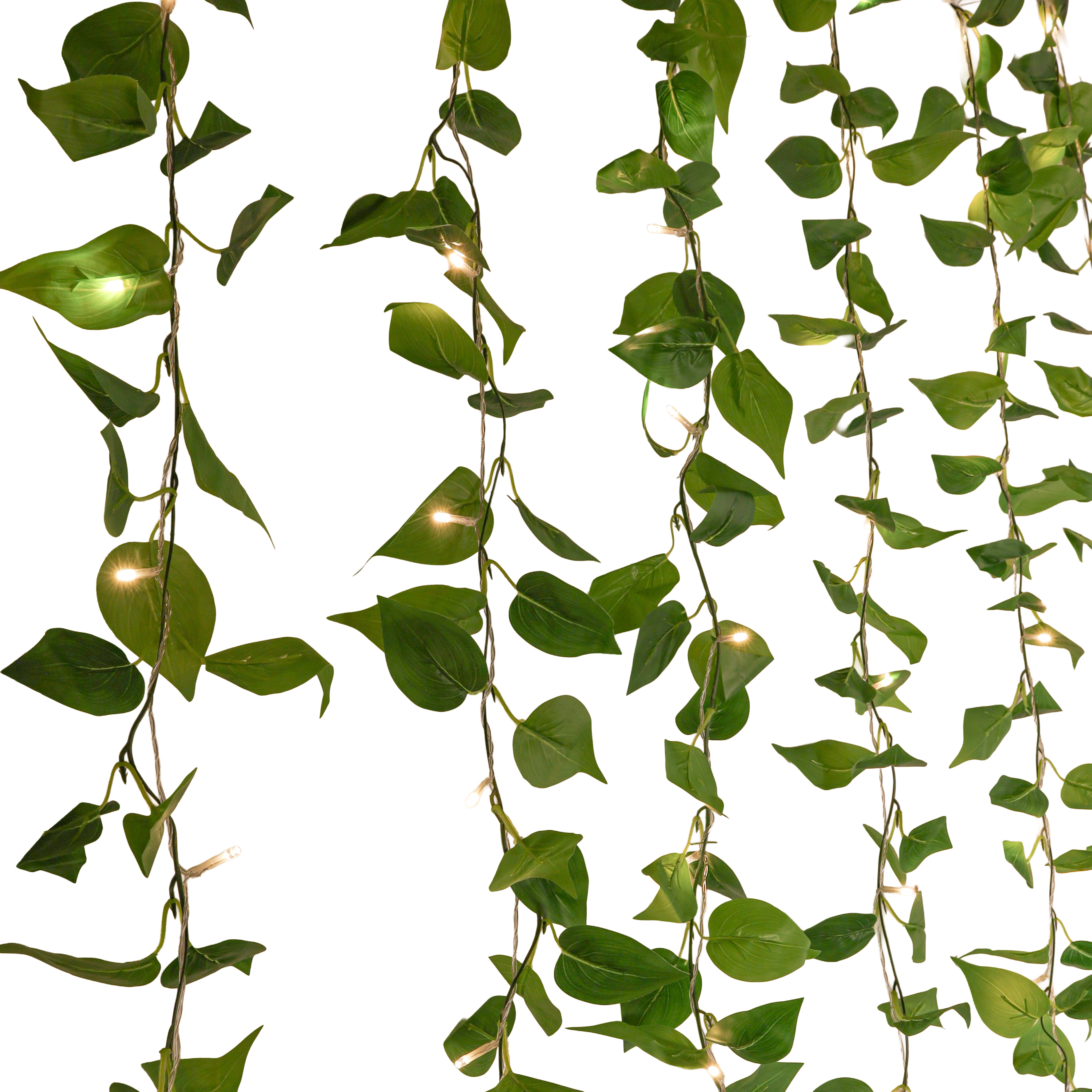 Danson Décor 66 5MM LED Battery Operated Curtain Lights with Ivy Leaves, Warm White