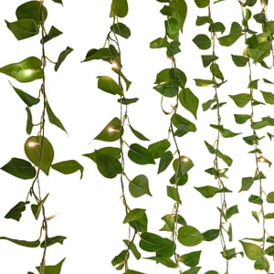 Danson Décor 66 5MM LED Battery Operated Curtain Lights with Ivy Leaves, Warm White