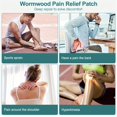 thumbnail image 3 of LNGOOR 72PCS Knee Patches  Warming Herbal Patches for Knee Patch  Natural Wormwood Extract Sticker for Knee  Back  Neck  Hand  Shoulder, 3 of 5