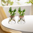 thumbnail image 3 of Miangastore Plant Terrarium Glass Cork 3Pcs Home Decoration 3.7X3.4X2.6In, 3 of 9