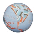 thumbnail image 2 of AVP Movement Volleyball, 2 of 3