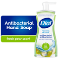 thumbnail image 1 of Dial Antibacterial Foaming Hand Wash, Fresh Pear Scent, 221ml, Dermatologist Tested, pH Balanced, Free from Silicones, Parabens, Phthalates, SLES/SLS, 1 of 9