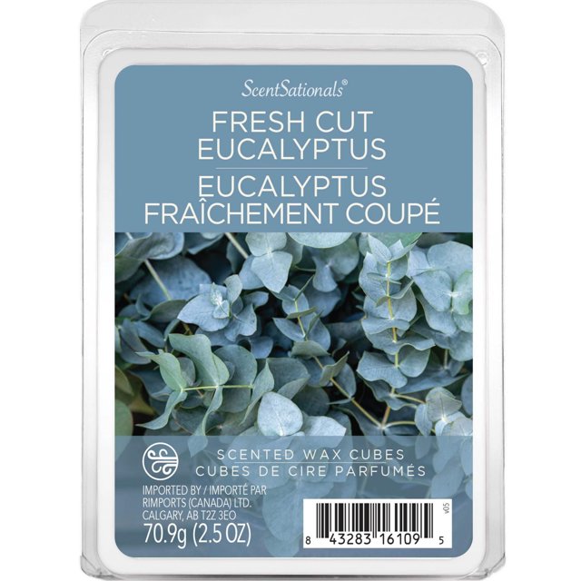ScentSationals, Scented Wax Cubes - Fresh Cut Eucalyptus