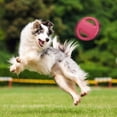 thumbnail image 3 of Pet Dog Flying Disc EVA Dog Training Ring with Double Handles Dog Flyer Toys Outdoor Activity Fetch Toy, 3 of 7