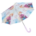 thumbnail image 3 of PARAPLUIE DE GLACE CONGELÉ, 3 of 5
