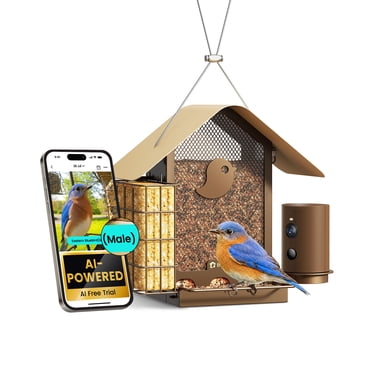 Birdfy Smart Bird Feeder with Camera, 1080P HD, 60FPS Video, AI Bird Identification, Night Vision, Cloud Storage, Suet Holder, Gift for Bird Lovers, Metal V