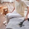 thumbnail image 3 of Aspirateur-traîneau Eureka Whisper Glide, 3 of 7