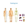 thumbnail image 3 of Human Body Model Organs and Bones Simple Assembly Learning Tool Kit Anatomy Model Display STEM Educational Gift Teaching Supplies, 3 of 7