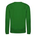 thumbnail image 2 of AWDis Just Hoods Boys/Girls Plain Crew Neck Sweatshirt, 2 of 2