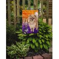 thumbnail image 2 of Carolines Treasures CK3224GF Hallween Pomeranian Drapeau de Jardin, 2 of 3