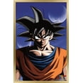 thumbnail image 1 of Dragon Ball Z - Goku, 1 of 4