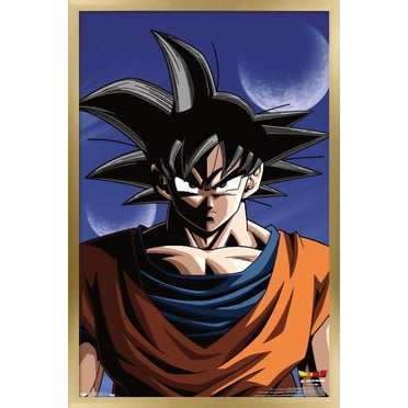 Dragon Ball Z - Goku