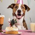 thumbnail image 4 of fastboy Happy Birthday Dog Pet Cake Plaque, 4 of 9