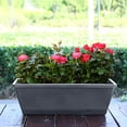 thumbnail image 5 of 4PCS Window Box Planter with Drainage Holes & Matching Saucers,17 Inch Plastic Rectangular Flower Pot for Vegetables Herbs Flower for Indoor Outdoor Garden Decor Patio Balcony Windowsill Deck Railing, 5 of 5