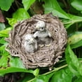 thumbnail image 3 of Realistic Animal Bird Model Figurine Action Figures Playset Kids Educational Birds with nest, 3 of 7