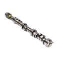 thumbnail image 1 of GM Performance Moteur 24502586 Petit Bloc Chevy Hydraulique Arbre à Cames Fastburn, 1 of 1