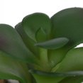 thumbnail image 2 of Fausse plante grasse miniature Kibo avec pot rayé, 2 of 5