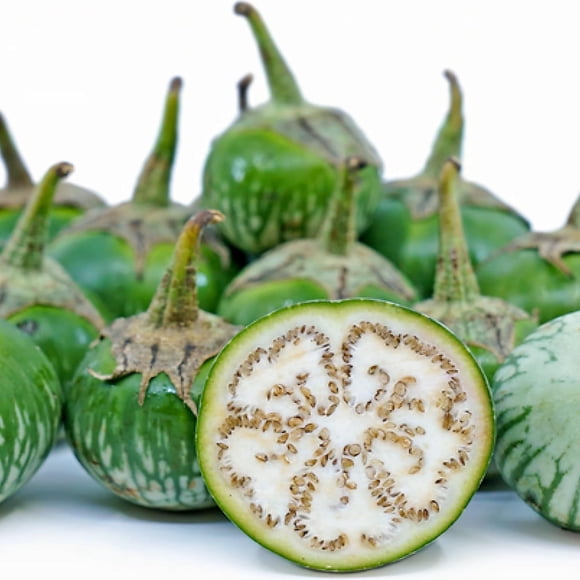 HIGHGW Thai Round Green Eggplant Seeds Petch Siam (40 Seeds) Heirloom Non-GMO Asian Eggplant for Planting Suitable for Containers & Gardens