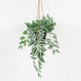 thumbnail image 3 of Lerman Decor hanging plant, 3 of 4