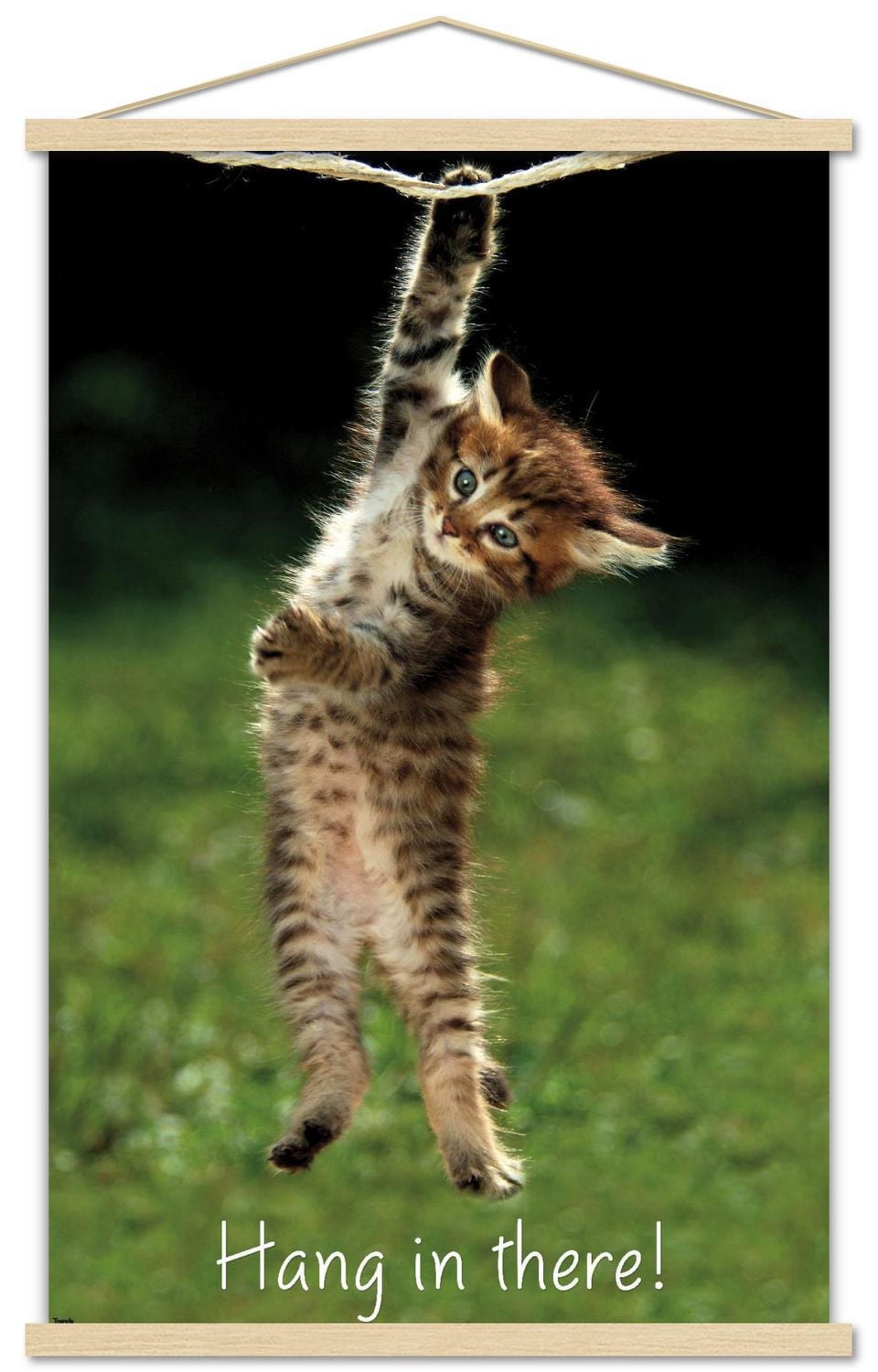Famous Kitten Hang There Poster Wall Poster