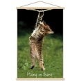 thumbnail image 1 of Célèbre chaton accroché là-bas Poster, 1 of 5