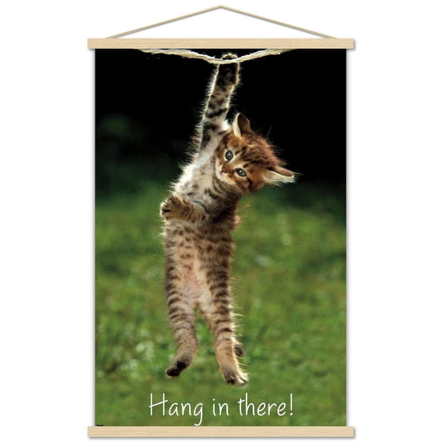 Famous Kitten Affiche Murale « Hang In There », 22,375 Po x 34 Po, Montrant un Chaton Brun « tabby » Suspendu d'Une Patte à une Corde, Vue Centrée Orientée vers l'Avant avec un Fond Vert Flou et un Texte « Hang In There! » Blanc au Bas, Imprimé sur du Papier d'Affiche Lustré, Convenant à la Décoration Intérieure et aux Murs du Bureau.