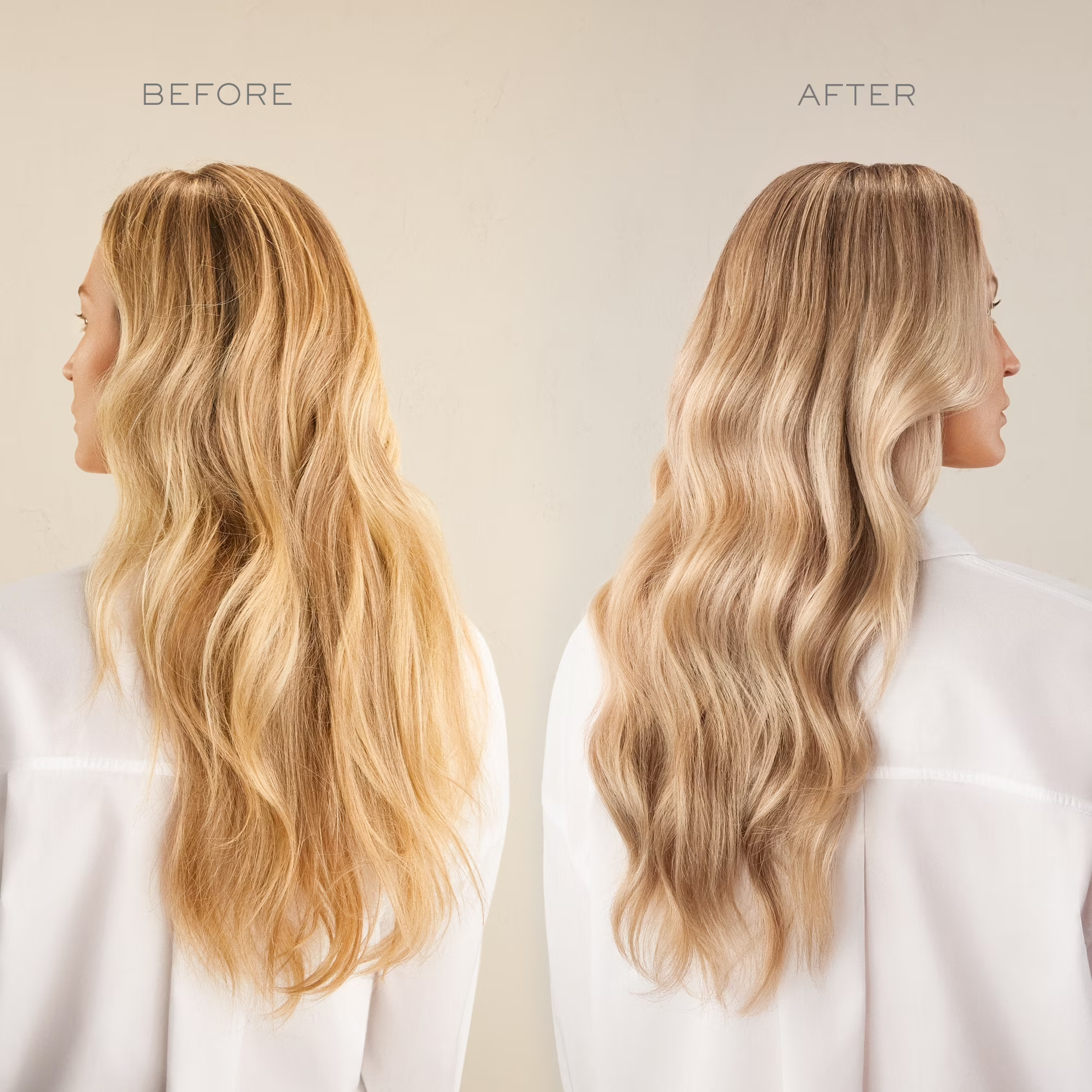 Kristin Ess The One Purple Shampoo for Blonde, Brunette, Silver + Grey Hair, Anti Brass + Yellow Tones, Sulfate Free Toning Shampoo, 296ml
