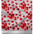 thumbnail image 1 of Soimoi Cotton Voile Fabric Raspberry,Strawberry & Cherry Fruits Decor Fabric Printed Yard 56 Inch Wide, 1 of 3