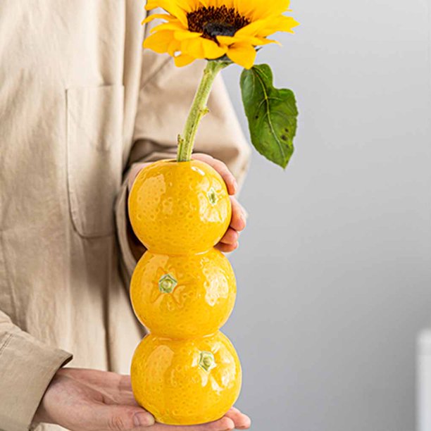 QualitChoice Fruit-Shaped Minimalist-Style A A Is Versatile