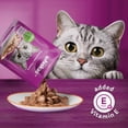 thumbnail image 4 of WHISKAS FAVOURITES Morsels in Gelled Gravy Salmon Flavour Pouch Adult Wet Cat Food, 85g, 4 of 5