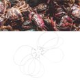 thumbnail image 1 of Pièges à Crabe, Piège à Crabe Réutilisable et Antirouille Portable en Feuille d'Aluminium à Boucle pour Crabe Dormant Bleu Rouge Crabe des Roche, 1 of 7