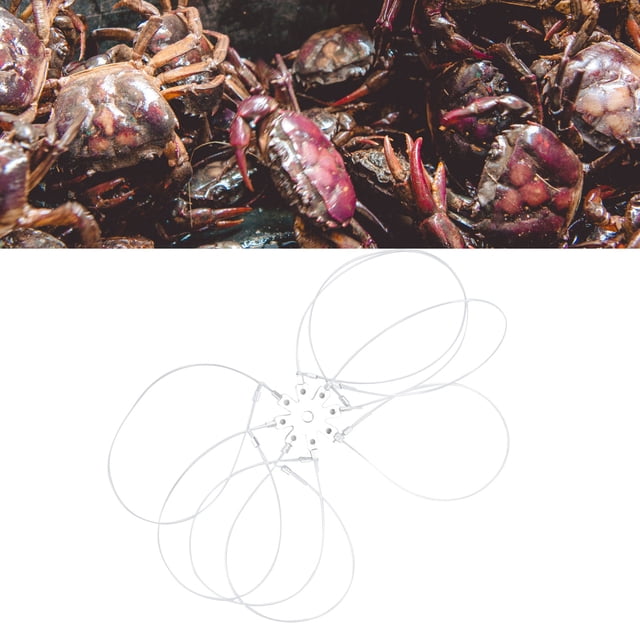 Pièges à Crabe, Piège à Crabe Réutilisable et Antirouille Portable en Feuille d'Aluminium à Boucle pour Crabe Dormant Bleu Rouge Crabe des Roche