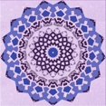 thumbnail image 1 of Ahgly Tapis d'Intérieur Lavable en Machine Carré Transitionnel Fleur Rose, 7 Pieds Carré, 1 of 7