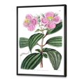 thumbnail image 2 of Designart Vintage Plant Life XXIII FLOAT FRAME WALL ART, 2 of 4