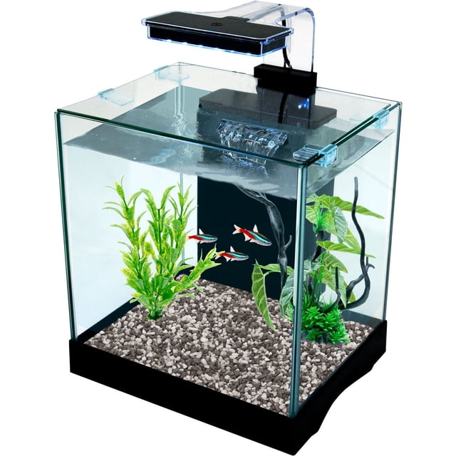 Penn-Plax Cascade Desktop Aquarium Kit - For Smaller Spaces - 3.2 Gallons, a frameless clear glass nano aquarium with black base and LED light, containing small colorful fish, artificial plants, and gravel substrate, ideal for desktops and small rooms, also suitable for shrimp or small fish.