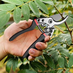 Djiypn Professional Stainless Steel Pruning Shears with Advanced Quenching Technology for Effortless Cutting,Ideal for Gardeners and Plant Enthusiasts, Perfect for Pruning Shrubs and Potted Plants