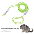 thumbnail image 3 of Laisse de Petit Animal, Conception Réglable de Perles Portables de Traction de Reptiles de Haute Résistance, 3 of 7