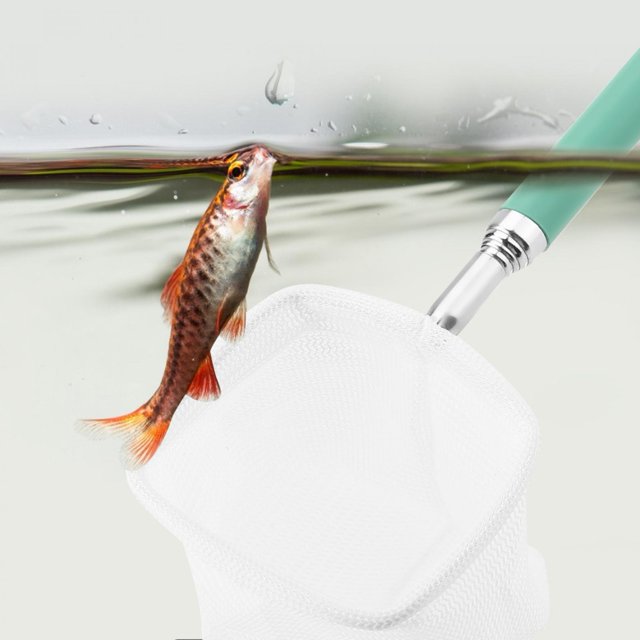 Durable Safe Quick Release Shrimp Skimming Net, Extendable Shrimp Skimming Net, 20-56.5cm Extendable For Shrimp For Fish Fish Tank Pond Aquarium