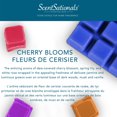 thumbnail image 3 of ScentSationals Scented Wax Cubes Value Pack - Cherry Blooms, 3 of 4