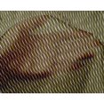 thumbnail image 4 of oneOone Silk Tabby Fabric Leopard Animal Skin Print Fabric BTY 42 Inch Wide, 4 of 4