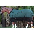 thumbnail image 3 of Hilason Drap de Pluie Imperméable 1200D pour Chevaux Vert, 3 of 5