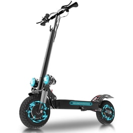 Segway Ninebot E22 Electric Kick Scooter, Lightweight and Foldable