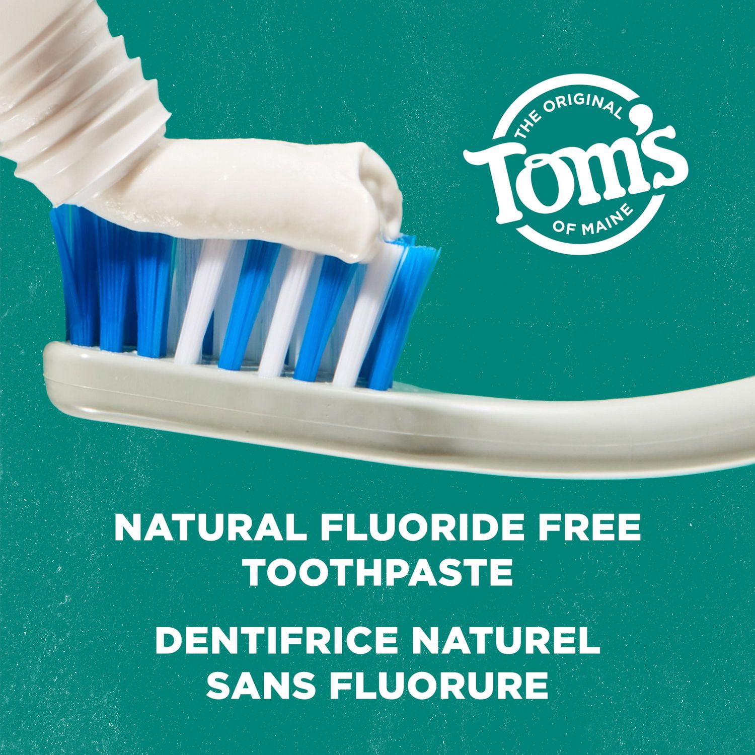 Tom’s of Maine Dentifrice sans Fluorure pour Gencives Sensibles, Menthe, 76 ml