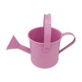 thumbnail image 3 of S SERENABLE Arrosoir de Jardin Facile à Utiliser Robuste Portable pour Maison Jardin Intérieur Extérieur Rose, 3 of 9