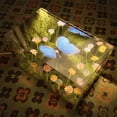 thumbnail image 4 of Jienlioq Veilleuse Terrarium Réelle et LED dans un Sommier Veilleuse Papillons, 4 of 9