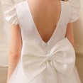 thumbnail image 4 of LOVZFMLL Girls' Summer Short Sleeve Ruffled Lace Round-Neck Embroidery Mesh Princess Bow Skirt, 4 of 5
