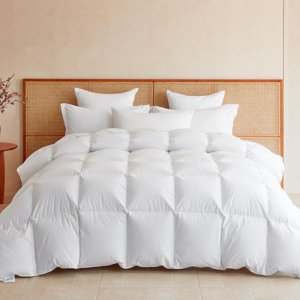 LeWinBedding Goose Feather Conforteur en fibre de fond Queen Taille Toute la saison Couette Insert 750+FP Hotel Comforter Ultra Doucement 100% Tissu de coton biologique 90x90 Pouces
