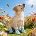 thumbnail image 3 of Breathable Pet Shoes for Dogs Offering Comfort and Care Showcasing Unique Personality with Stylish Design, 3 of 3