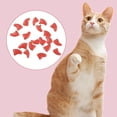 thumbnail image 2 of 20PCS Cat Nail Caps Protective Soft Kitten Paw Caps Cat Claw Covers with Glue, 2 of 10